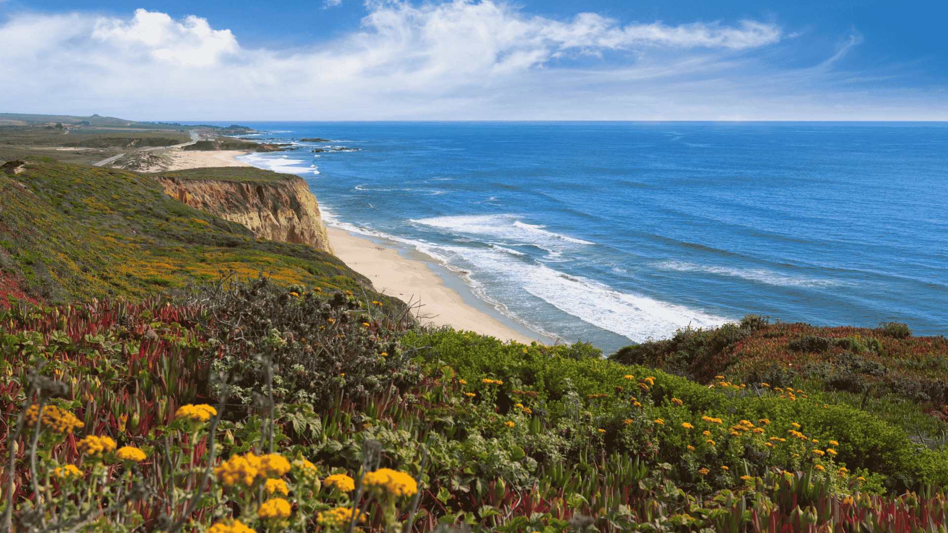 California Coastal Routes: OEM Touring Parts