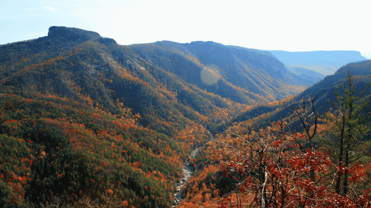 Southeast Fall Riding: OEM for Technical Terrain