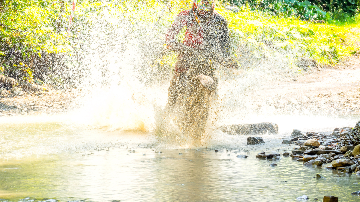Yamaha Motorcycle OEM Electrical Waterproofing